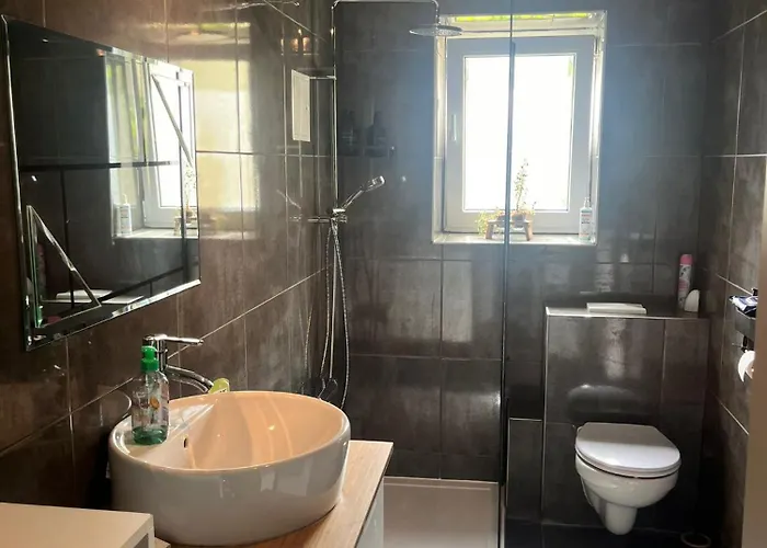 Myhome Einsiedel An Der Zwoenitz 1